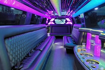 Miami Gardens Limo Interior