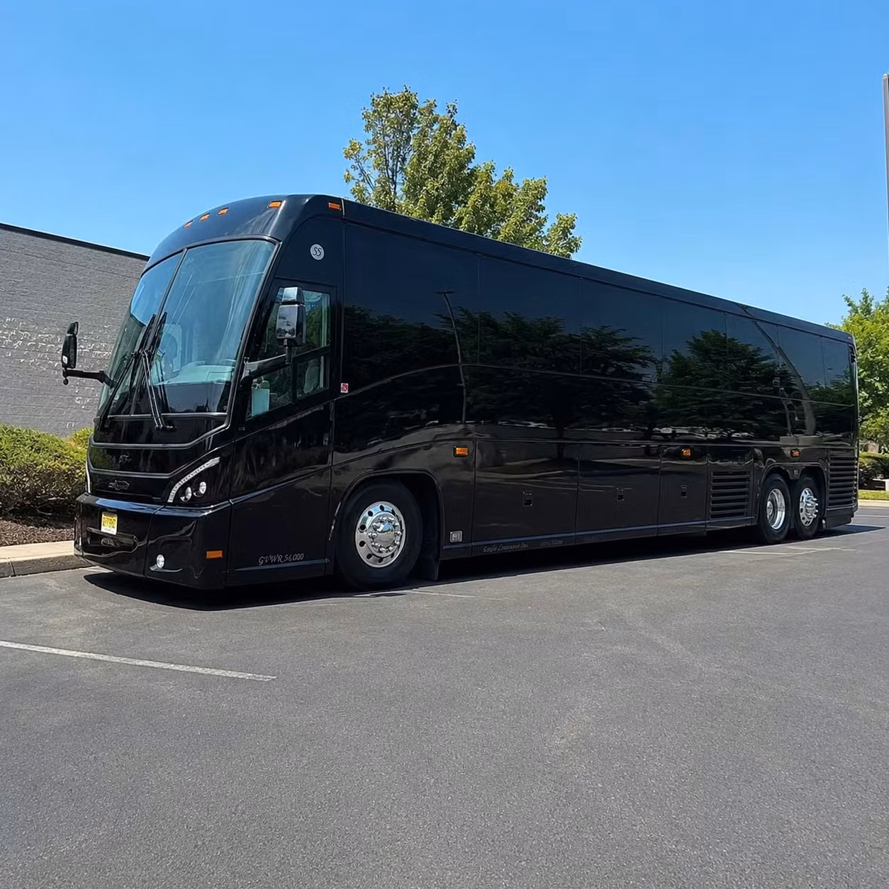 56 passenger charter bus